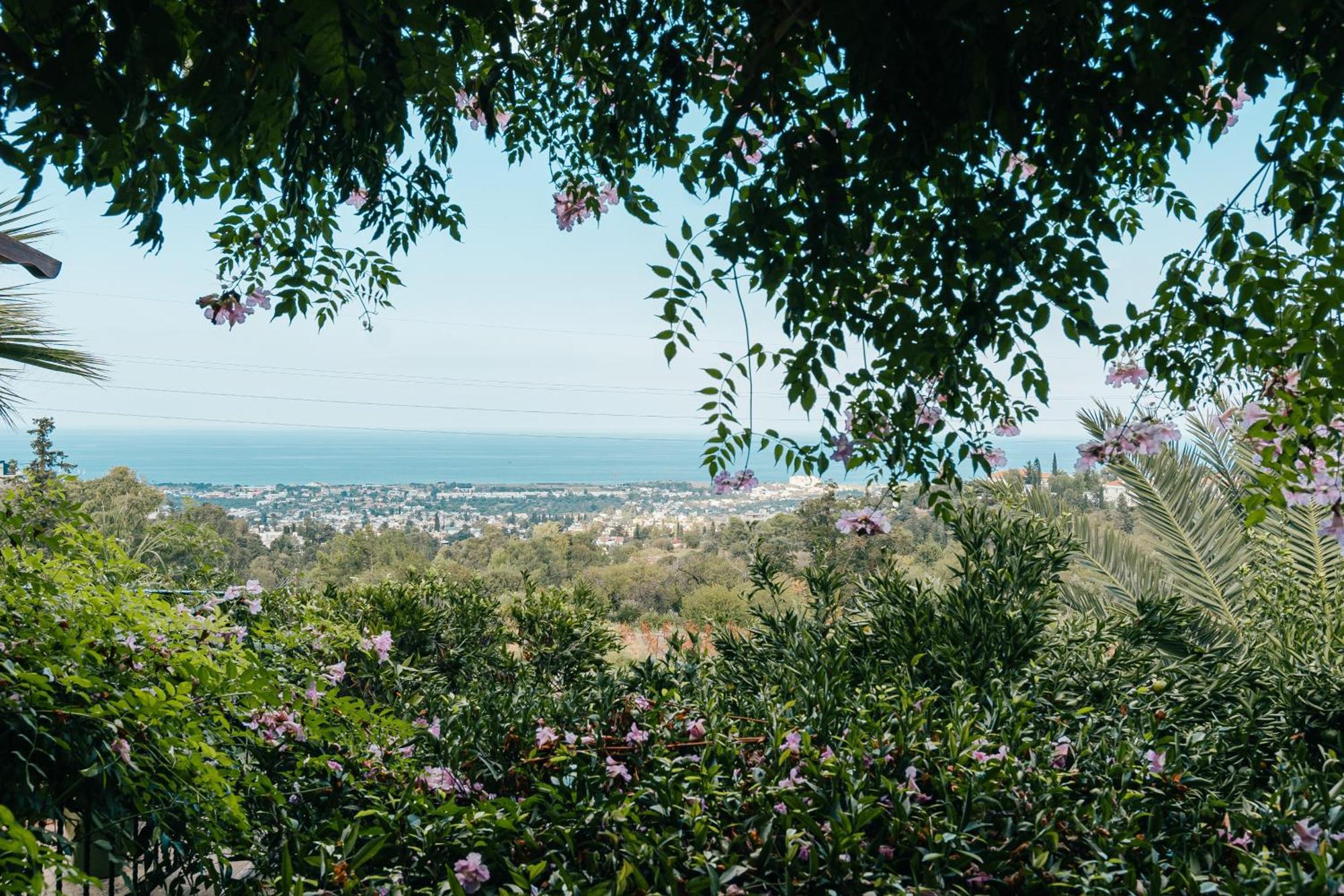بيت شباب Bellapais Gardens المظهر الخارجي الصورة