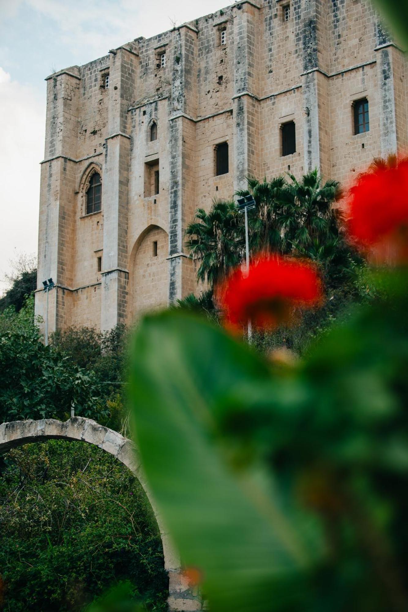 بيت شباب Bellapais Gardens المظهر الخارجي الصورة