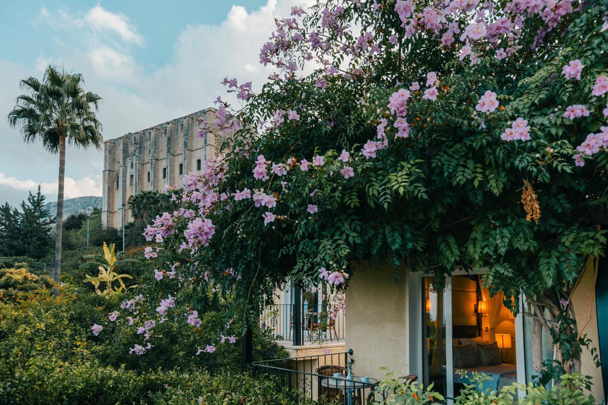 بيت شباب Bellapais Gardens المظهر الخارجي الصورة