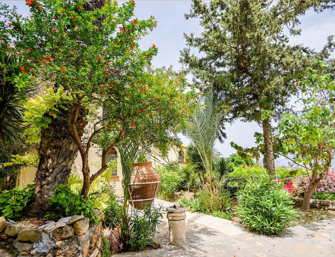 بيت شباب Bellapais Gardens المظهر الخارجي الصورة