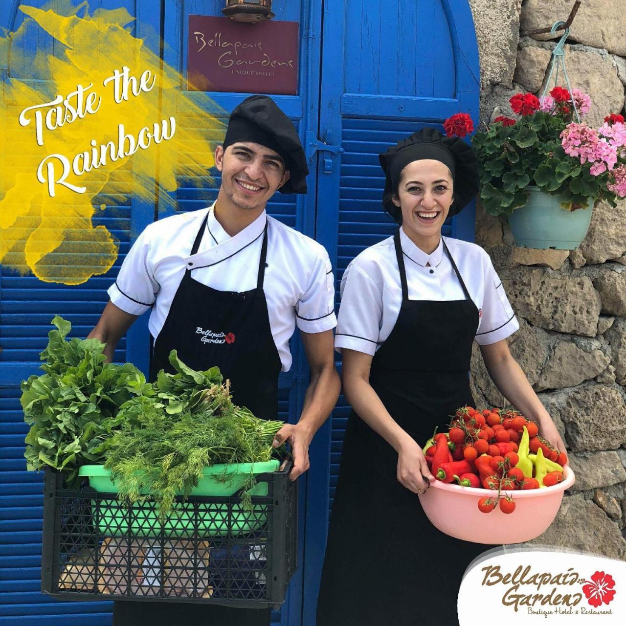 بيت شباب Bellapais Gardens المظهر الخارجي الصورة