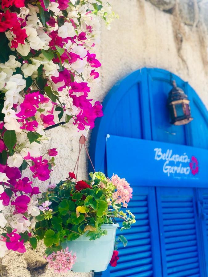 بيت شباب Bellapais Gardens المظهر الخارجي الصورة